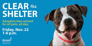 Hennepin county, minneapolis, mn id: City Of Minneapolis On Twitter Minneapolis Animal Care Control Is Waiving Adoption Fees For All Pets All Day Friday Nov 22 Help Us Clear The Shelter Find Details At Https T Co 6juicwmqub Https T Co Lo5zbmghmo