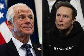 La Casa Blanca reacciona a la disputa entre Elon Musk y Peter Navarro: "Los chicos son chicos" - Newsweek