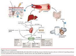 The american academy of dermatology recommends that vitamin d should be obtained exclusively from diet and supplements, rather than sun exposure. Depression And Vitamin D Deficiency Causality Assessment And Clinical Practice Implications