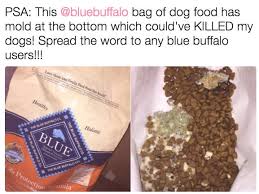 Check out our dog tag mold selection for the very best in unique or custom, handmade pieces from our craft supplies & tools shops. Blue Buffalo Moldy Dog Food Photo Accusation