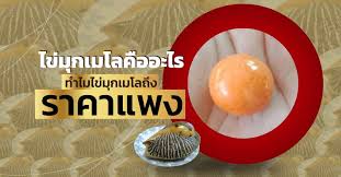 ไข่มุกเมโล(melo pearl) มีชื่อเรียกอีกชื่อคือ มุกหอยโขงทะเล หรือ มุกสังข์ทะนาน เป็นไข่มุกที่เกิดขึ้นตามธรรมชาติเหมือนไข่มุกสี. à¹„à¸‚ à¸¡ à¸à¹€à¸¡à¹‚à¸¥à¸„ à¸­à¸­à¸°à¹„à¸£ à¸—à¸³à¹„à¸¡à¹„à¸‚ à¸¡ à¸à¹€à¸¡à¹‚à¸¥à¸– à¸‡à¸£à¸²à¸„à¸²à¹à¸žà¸‡ Medtua Com