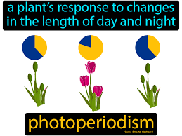 Photoperiodism Science Flashcards Science Student Science Facts