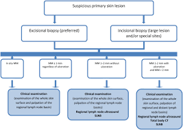 melanoma staging sciencedirect