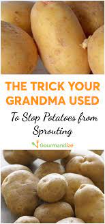 How to stop potatoes from sprouting in storage. The Trick Your Grandma Used To Stop Potatoes From Sprouting