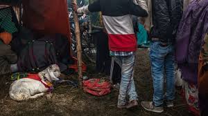Woman kill animal part 2. Nepal S Animal Sacrifice Festival Slays On But Activists Are Having An Effect The New York Times