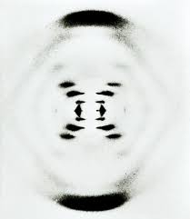 American Masters Decoding Watson James Watson On X Ray Crystallographer Rosalind Franklin American Masters Pbs In 2020 Biology Tattoo Biology Art Dna Art