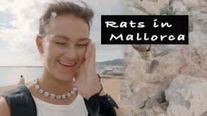 Showreel Videographer