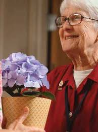 is OUR SACRED CALLING