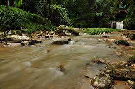Hutan Lipur Negeri Pahang Forestry Department Peninsular Malaysia Results From 24