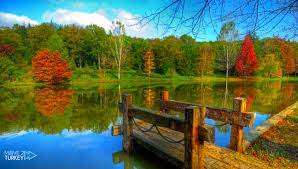 We did not find results for: Belgrade Forest In Istanbul All You Need To Know Move 2 Turkey