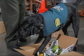 Pest proofing and exclusion efforts can include a variety of methods to help prevent entry and reduce attractiveness of the structure to pests. Pest Exclusion Produce Quality Bureau Agricultural Commissioner Weights And Measures
