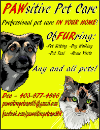At pawsitive petcare, our aim is to provide the best dog walking, cat care and overnight sitting service that we possibly can. Pawsitive Pet Care Home Facebook