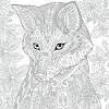 Wolf coloring book apk we provide on this page is original, direct fetch from google store. 1