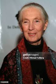 Actor Peter Falk , with wife Shara Denise, greets Doctor Elliot Katz...  News Photo