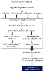 Sequential Cold Maceration Method For Preparation Of Plant Extracts Download Scientific Diagram