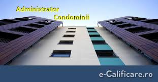 Profesor scoala cu invatamant primar. Curs Administrator De Condominii Cod Cor 5153 3 1 Constanta