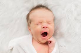 Sugar Snap Detroit Photography