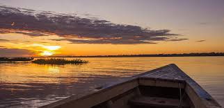 Maybe you would like to learn more about one of these? Inside Amazon Rainforest Karan Travelogues