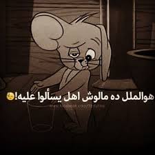 حياة الفار مملة من غير قط يجري وراه funny arabic quotes arabic funny funny school memes