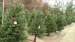 Country christmas trees christmas tree lots christmas time is here christmas scenes vintage christmas cards little christmas christmas pictures winter christmas christmas decorations. Fayetteville Business Offers Wisconsin Style Christmas Trees 5newsonline Com