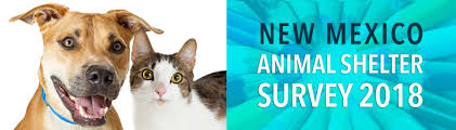 You can find them online or at your nearest pet adoption center. 2018 New Mexico Animal Shelter Survey