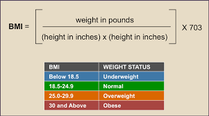 Body Mass Index Needs Two New Friends But It Only Gets One