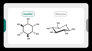 The Difference Between Inositol Myo Inositol And D Chiro Inositol Inositoli It