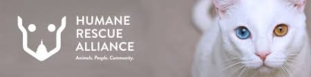 Jun 12, 2019 · golden retriever rescue alliance (fort worth) gold ribbon rescue (austin) golden beginnings golden retriever rescue (houston) learn more about rescuing golden retrievers in texas here. Support Hra Humane Rescue Alliance