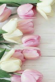 Sfondi desktop sfondi fiori 701. 110 Idee Su Sfondi Whatsapp Nel 2021 Sfondi Sfondi Carini Immagini