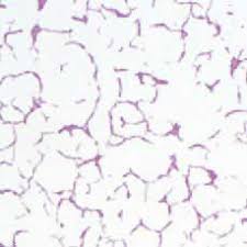 We did not find results for: Prokaryotic Vs Eukaryotic