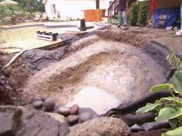 We did not find results for: 10 Things You Must Know About Ponds Diy
