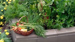 High Value Produce For Square Foot Gardens Garden Gate