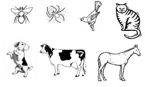 D d she swallowed the spider to catch the fly. Bilo Je Stare Dame Koja Je Progutala Bojanku Preuzmite Besplatne Isjecke I Besplatne Isjecke Ostalo