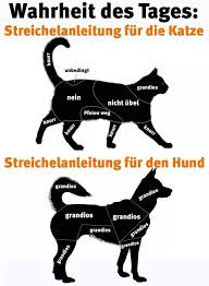 Check spelling or type a new query. 8 August Weltkatzentag Radio Kreta