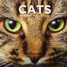 A few people have read it and said it's. Cat Coffee Table Book This Book Celebrates The Beauty And Diversity Of These Wonderful Loving And Devoted Companions Amazon De Procter And Gamble International Operations Fremdsprachige Bucher