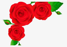 We would like to show you a description here but the site won't allow us. Rose Cliparts Transparent Sunflower Real Sunflower Clipart Hd Png Download Kindpng