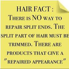 The Brown Truth Hair Facts Hair Essentials Love Your Hair