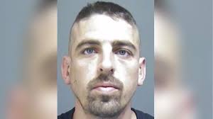 The criminals jailed and given other punishments at Truro Magistrates'  Court this week