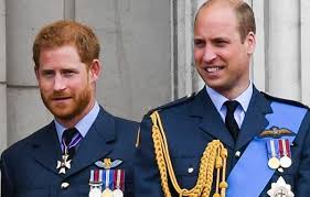 Prins harry en zijn oudere broer william zijn nu ieder hun eigen weg ingeslagen. Prins Harry Woedend Op Prins William Nadat Hij Dat Deze Actie Ondernam Showbizz 24