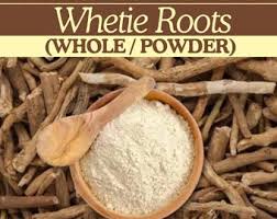 Image result for Mondia ecornuta