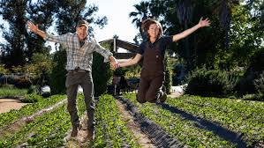 The biggest little farm quotes. Life On The Biggest Little Farm Behind The Scenes Of A Biodynamic Blockbuster Los Angeles Times
