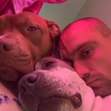 Fence Staining Job Opportunity for Young Person in Hillsboro, MO