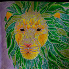 Wild Savannah By Millie Marotta Colouringbook Tropicalwonderland Wildsavannah Milliemarotta Adultcol Animal Coloring Books Wild Savannah Colorful Drawings