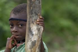 Cameroon: Why a piece of paper is trailing new hope among indigenous  communities