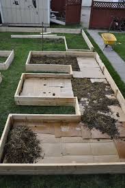 Norm Wollte Eine Schicht Oder Quot Lasagne Quot Garten Und Mit Karton Angefangen Design De Jardin Potager Jardin Potager Jardins Potagers Soulevees