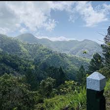 Jamaica Blue Mountains Jamaica Honeymoon Romantic Vacations Jamaica Travel