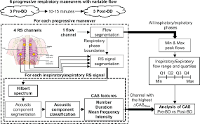 flow chart of the proposed respiratory sound recording and