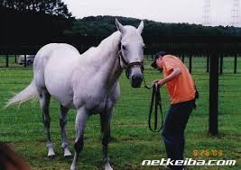 全員とセックス慕い えっちぃ エッっ 偶然なんてないゾ ヌッ! ãƒ¡ã‚¸ãƒ­ãƒžãƒƒã‚¯ã‚¤ãƒ¼ãƒ³ ç«¶èµ°é¦¬ãƒ‡ãƒ¼ã‚¿ Netkeiba Com