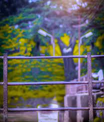 300 Top Picsart Background Hd Download 2020 2 Picsart Background Blur Background Photography Photoshop Backgrounds Free