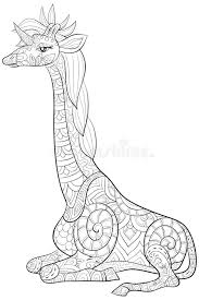 A drawing of lion faces is a difficult but fascinating affair. Giraffe Coloring Page Adult Stock Illustrations 91 Giraffe Coloring Page Adult Stock Illustrations Vectors Clipart Dreamstime